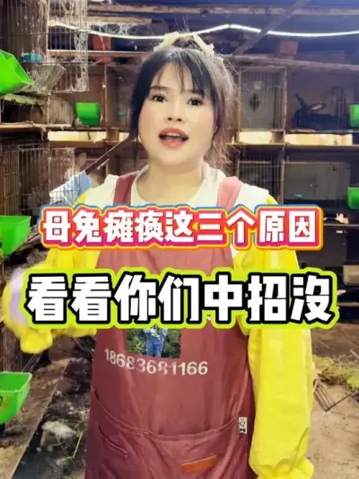 ����#ũ�崴ҵ��ֳ #��ũ #���� #������