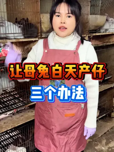 #������ #�������ֿ������߷ֿ����� #����������������