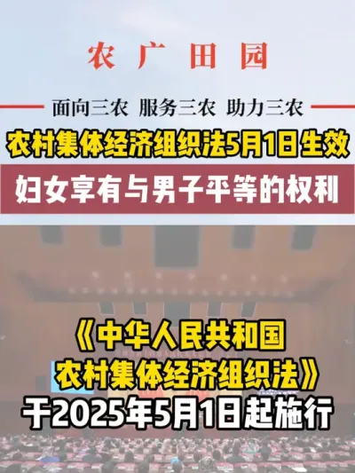 #本地新闻 #新闻 #热点 #最新消息