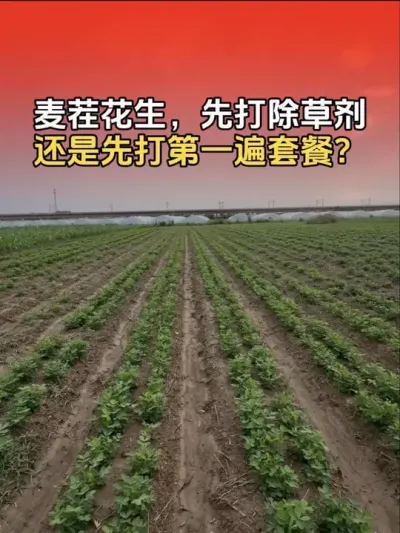 ��绨�������ȴ���ݼ����վ��ȴ��һ���ײ���#�����߲� #����ݪֲ #����ݪֲ�������� #�����߲�ݪֲ #����ũҵ֪ʶ��ũ����������