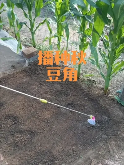 �����ﶹ��ע������#�ﶹ��