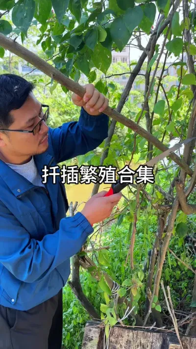 Ǥ�������ϼ�#ݪֲС����