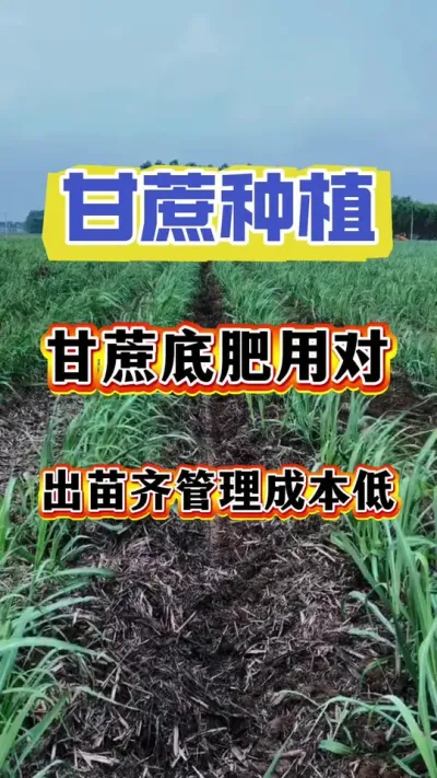 ����׷��õĶԣ�������׳������Ǯ��#��ũ#����ʩ��#����