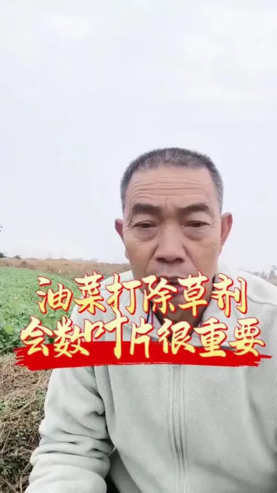 Ҫ���Ͳ˳����徲��һ��Ҫѧ����ҶƬ#����ũҵ֪ʶ��ũ���������� #�����������Ļ���