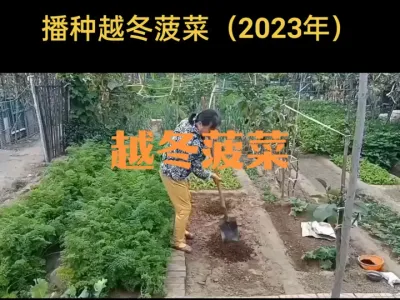 ����Խ�����ˣ�2023�꣩