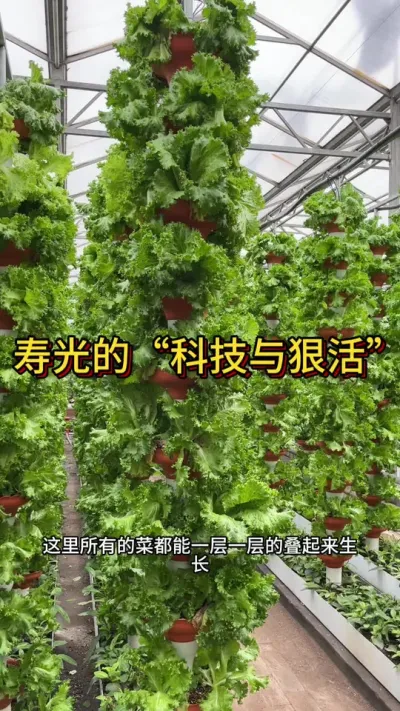 �ٹ��˿���ܳ����׶��������ܳ�������#ũҵݪֲ  #��ũ #��ũݪֲ