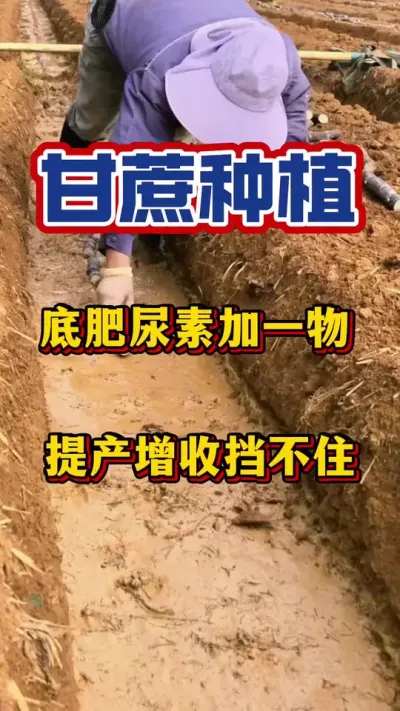 ����׷ʼ�������������������յ���ס#����ݪֲ#�������#����ʩ��