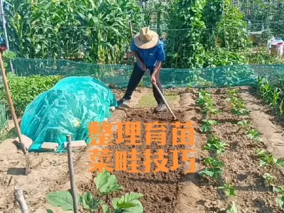 ���������������#�紲