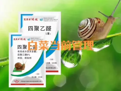 Ŀ��С��԰��ȷ��Ӧ����������