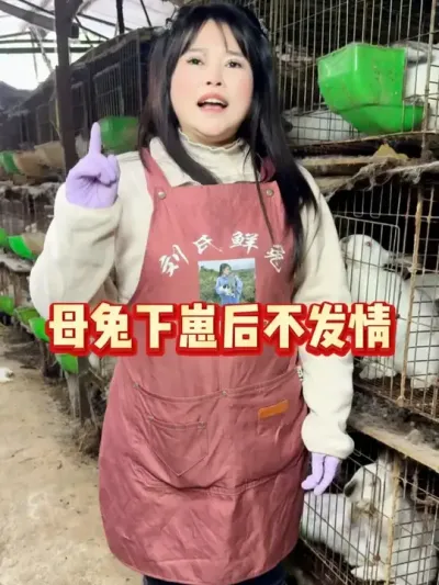 #���� #����רҵ�� #�������� #�������ֿ������߷ֿ�����