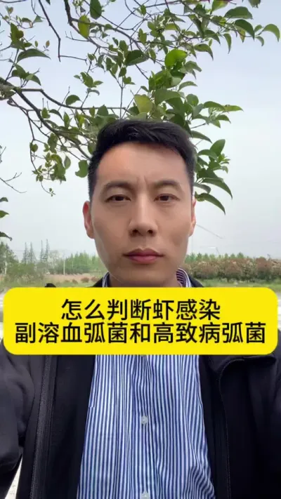 怎么判断虾感染副溶血弧菌和高致病弧 #冬棚养虾 #小棚养虾 #冬棚养虾 #工厂化养虾 #创作灵感