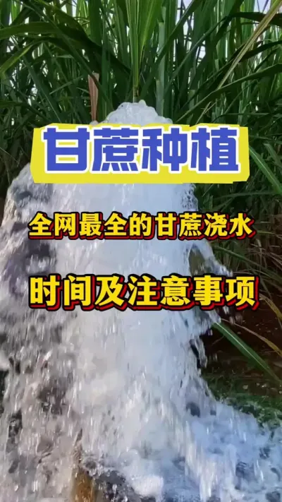 ȫ����ȫ�ĸ��ώˮ�ƻ�#����ݪֲ #�������� #����