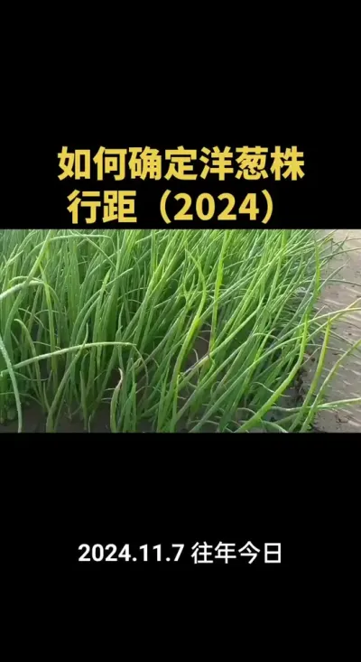 ����ȷ����е����о�