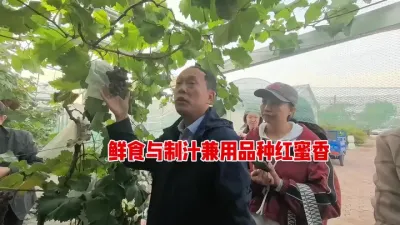 ��ʳ����֭���õ�����Ʒ����