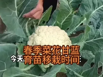 �����˻����������������缰����ʱ��