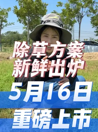 5月16日，水稻茎叶除草剂重磅上市#产品上市