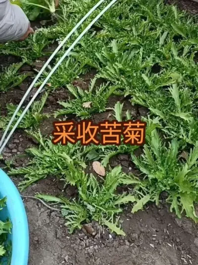 ���տ�ռ���������