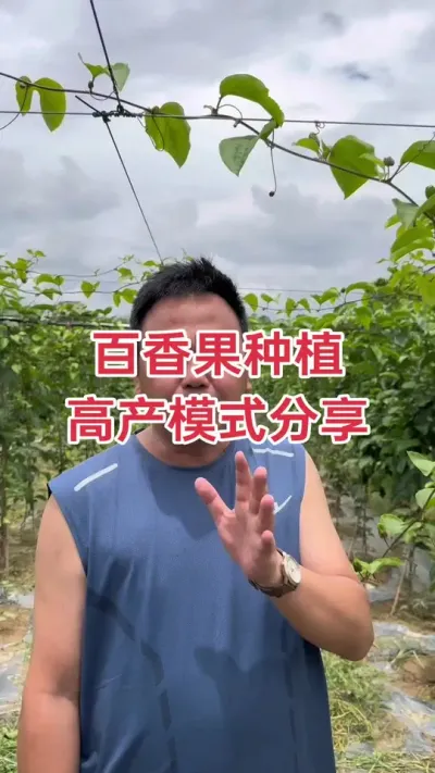 �����ݪֲ �߲�ģʽ����#�����ݪֲ #�����ݪֲ���� #����� #�ƽ�����ݪֲ���� #��ΰ��