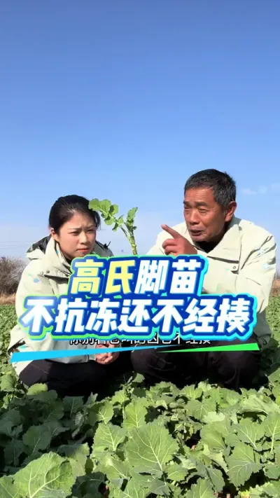 ���Ͳ�����Ҫ�߽��磡���Ͻ�������������������#����ũҵ֪ʶ��ũ���������� #�����������Ļ���