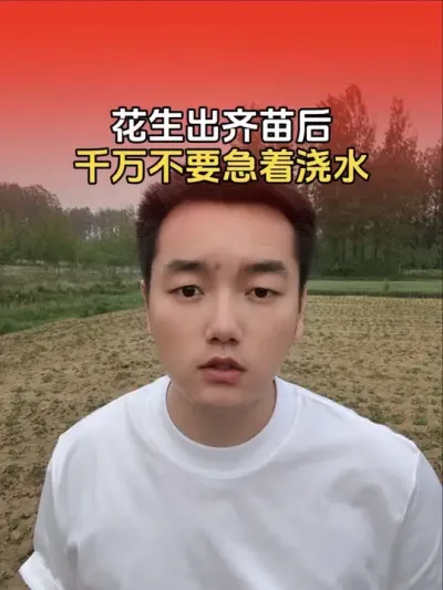 花生出齐苗以后要不要浇水？#三农 #花生 #分享农业知识帮农民增产增收 #农业植保知识分享 #传播农业小知识