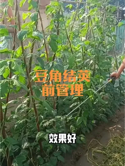 ���ǽ��ǰ��������#����