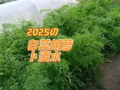 ��ȷ�˺��ܲ���ˮ