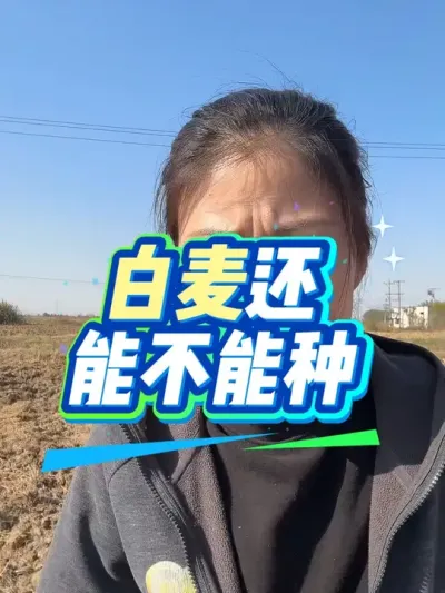 �����ܲ���������Ƶ������#����ũҵ֪ʶ��ũ���������� #�����������Ļ��� #С��ݪֲ