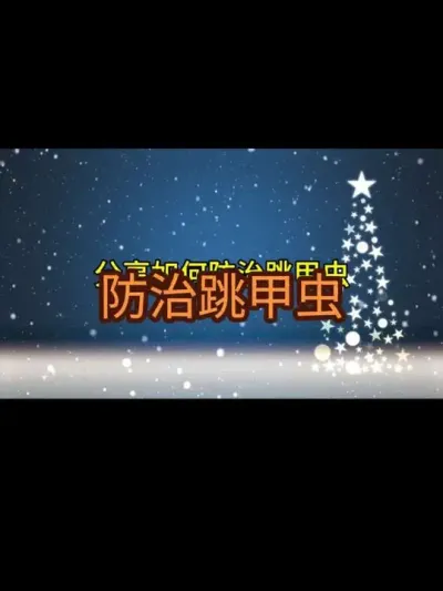 �����������׳棨2025�꣩