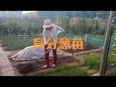 �������ִ���#��������