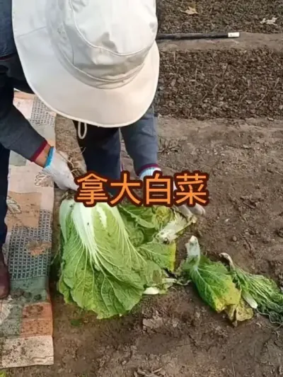 ����׼ȷ����������ȷ�˵��¶�