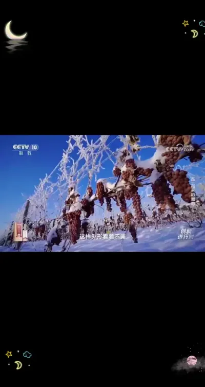 �������ѹ�ҵ����ϵͳ�������ۺ�����վվ��³�����о�Ա���������ݱ����Ѽ������Ѿ���