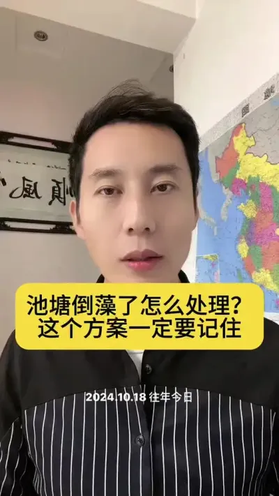 ������������ô���óͷ���#ˮ����ֳ #��Ϻ��ֳ #�����׶�Ϻ #��Ϻ�� #������Ϻ