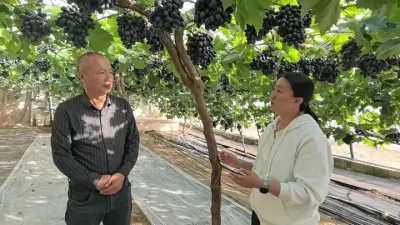 �������ѹ�ҵ����ϵͳ�����ۺ�����վվ�����迡�о�Ա��˵�������������ӳ�ݪֲ����ѡ��Ʒ����