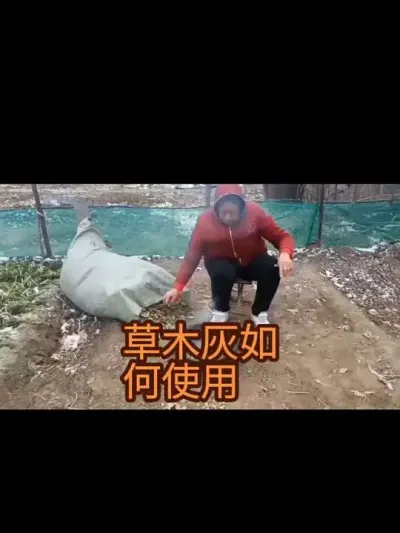 ��ľ�ҵ���ϸʹ��Ҫ�죨2024�꣩