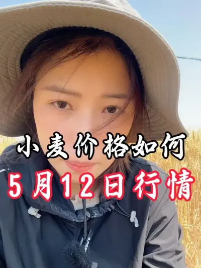 小麦价格如何#老百姓关心的话题