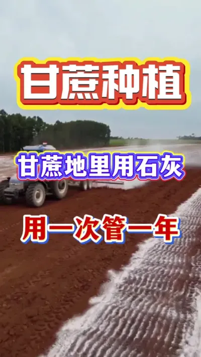 ������ǰ��ʯ������������޴�������һ�ι�һ�꣡#����ݪֲ#����׷�#����