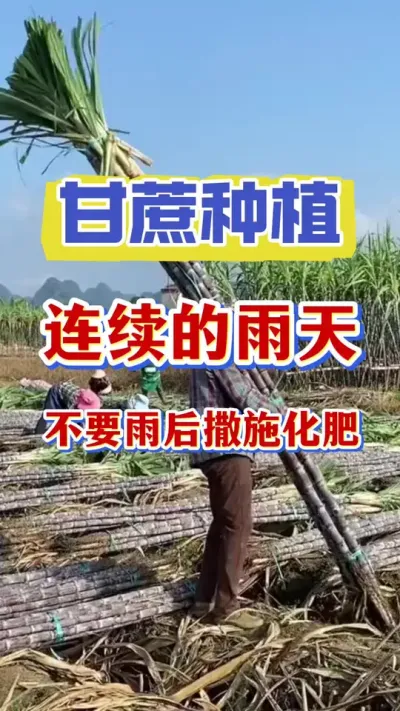 һ����������������������м�ʹ�û�����˭��˭���#����ݪֲ #����ʩ�� #����ν�