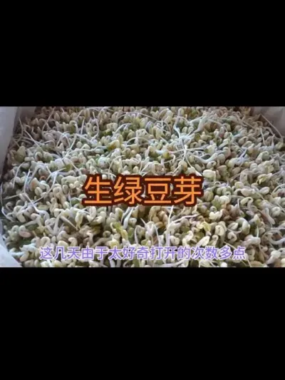 ��������ѿ��#��ѿ��