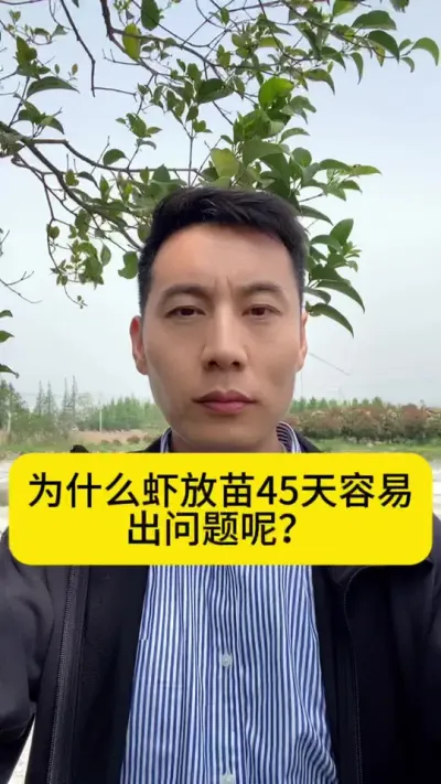 为什么虾放苗45天容易出问题呢？#南美白对虾 #冬棚养虾 #小棚养虾 #工厂化养虾 #创作灵感