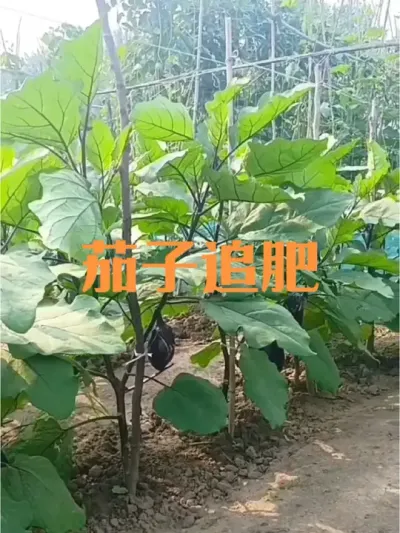 ���������������������׷��#����