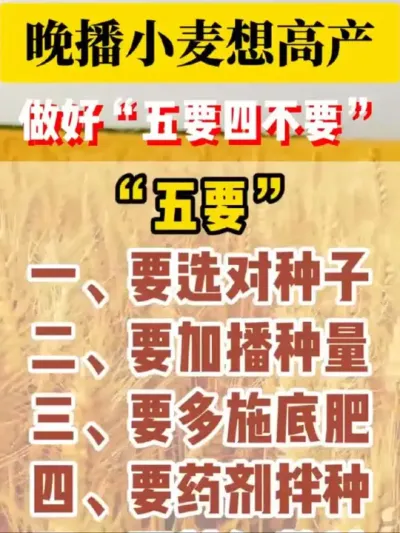 #С��ݪֲ ��Ҫ�߲�Ҫ������Щ��#������? #��ũ