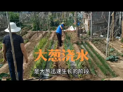 ����������������ˮ#���