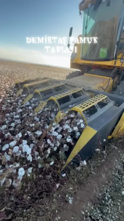 �������¿���޻� #���޻� #���޻���Ƶ #���޻�˾����һ��ƽ������ #�ִ�ũҵ��е #ũ����Ƶ @����С����