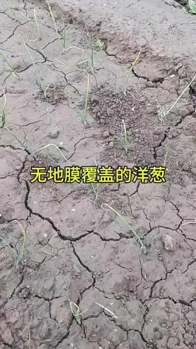 �����������Ҫ��������