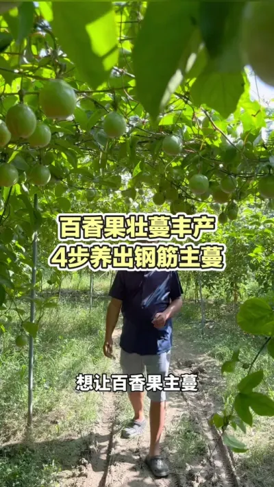 �����4�������ֽ������#�ƽ�����ݪֲ���� #�����ݪֲ #�����ݪֲ���� #����� #��ΰ��