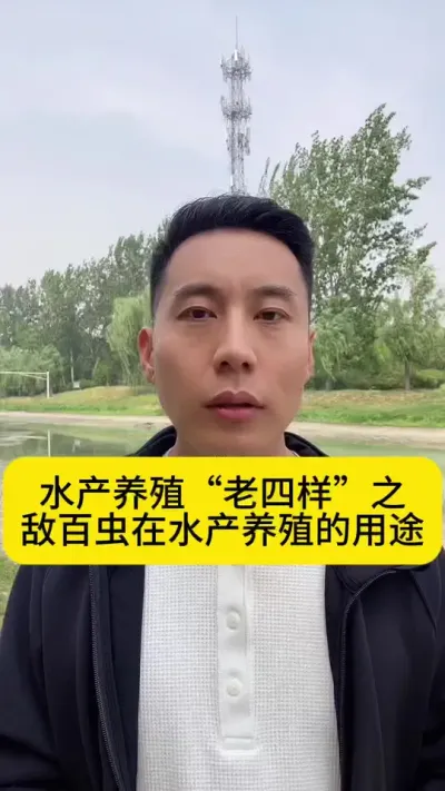水产养殖&ldquo;老四样&rdquo;之敌百虫在水产养殖的用途#水产养殖 #鱼虾蟹养殖 #养虾人 #南美白对虾 #创作灵感