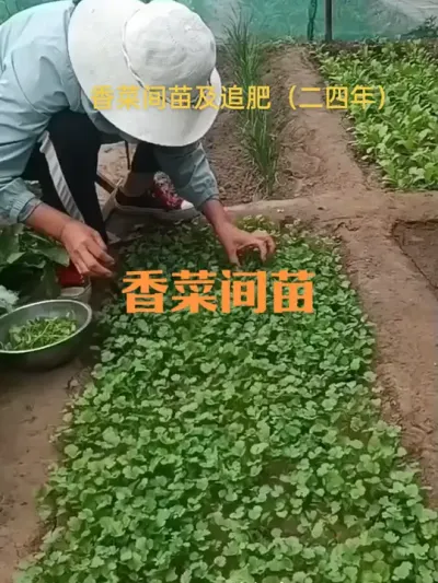 ��˼��缰׷�ʣ������꣩