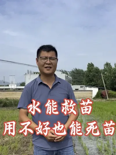 ûˮ������ˮҲ������Ƿ�û�����#����ũҵ֪ʶ��ũ���������� #�����������Ļ���