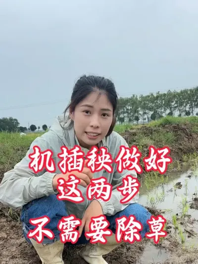 ������������ιر������ؾ�Ҷ����#�����������Ļ��� #����ũҵ֪ʶ��ũ����������