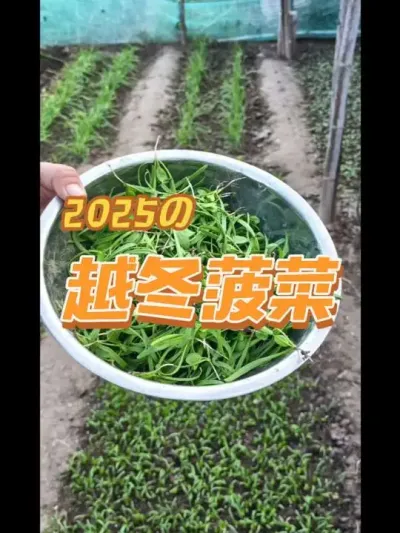 Խ�����˼��罽�ⶳˮ